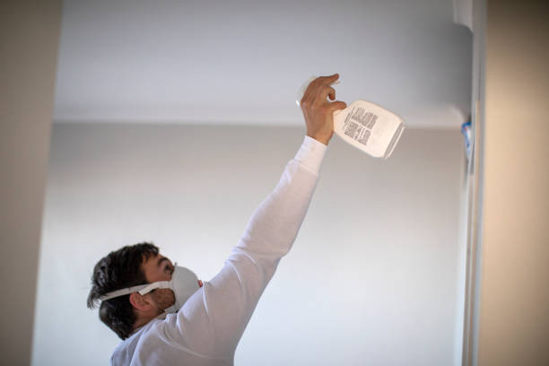 Best Certified Mold Removal  in Aurora, MO